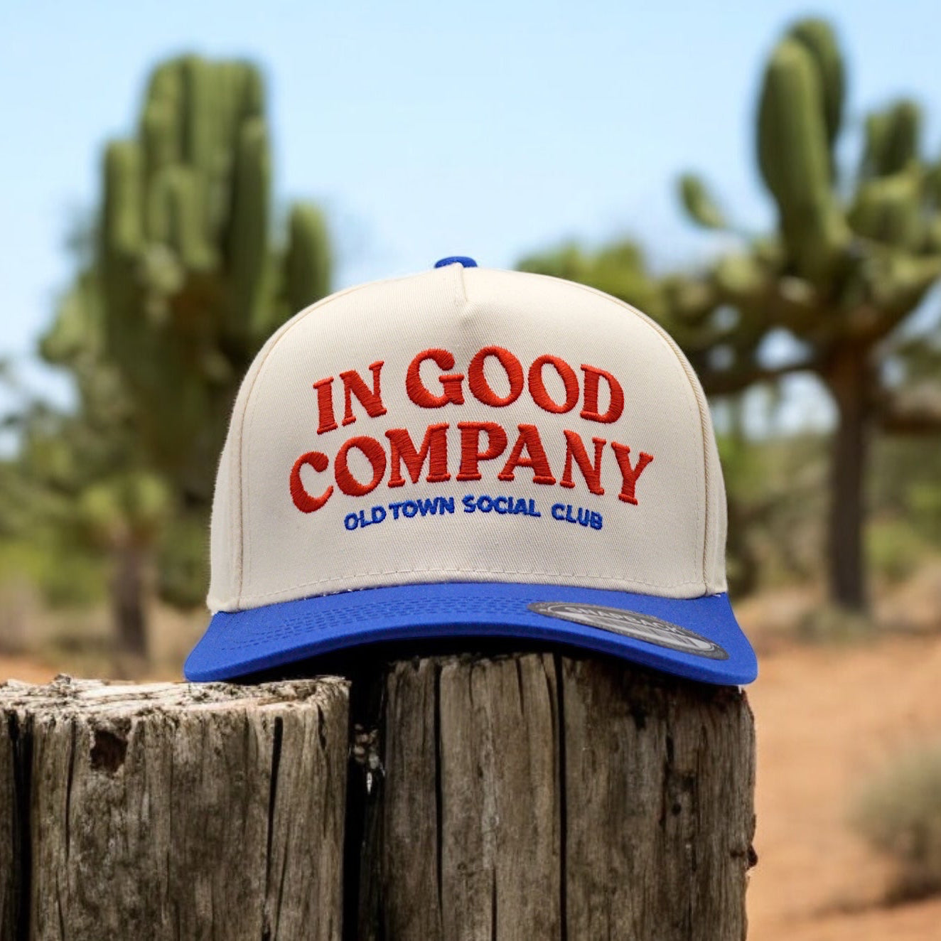 In Good Company Vintage Hat