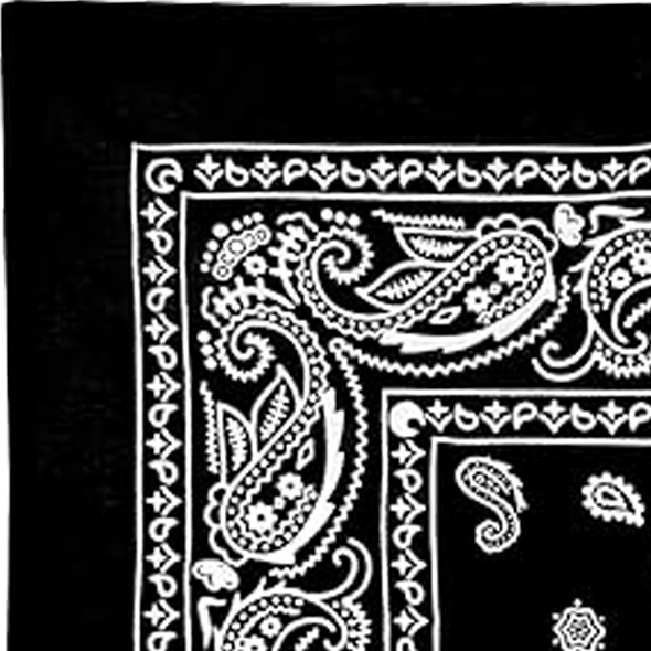 Custom Bandanas — Set of 12