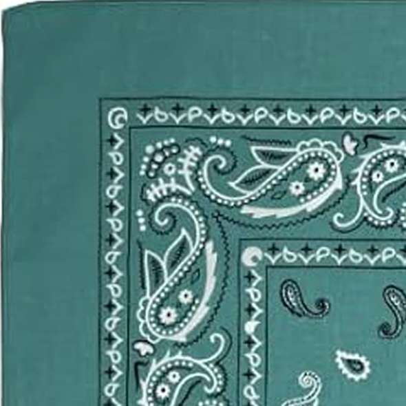 Custom Bandanas — Set of 12