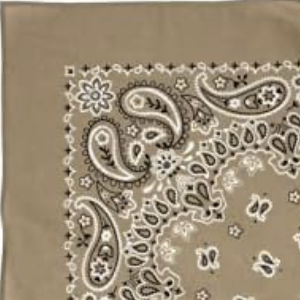 Custom Bandanas — Set of 12