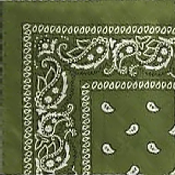 Custom Bandanas — Set of 12