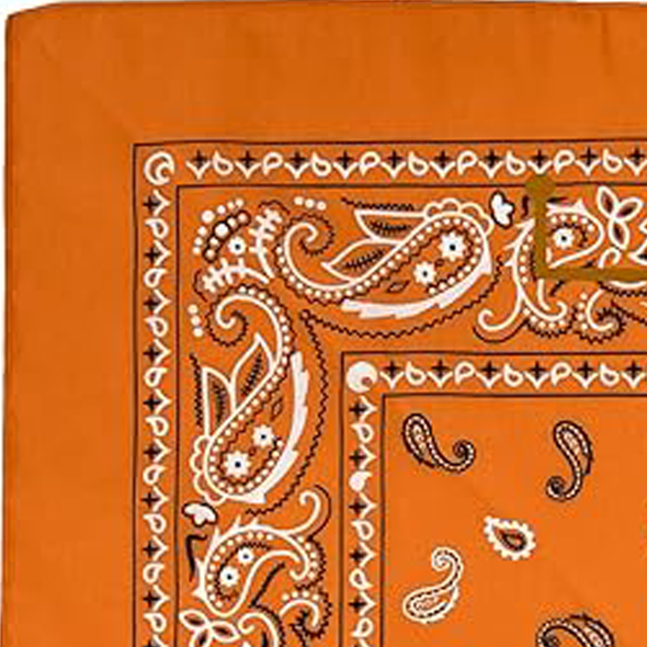 Custom Bandanas — Set of 12