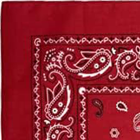 Custom Bandanas — Set of 12