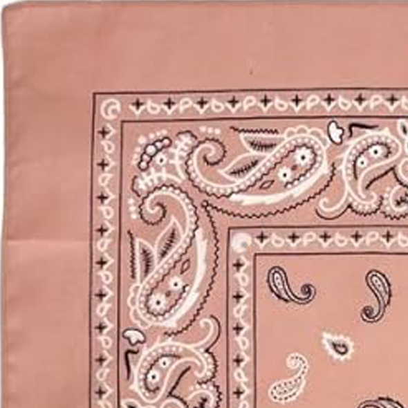 Custom Bandanas — Set of 12