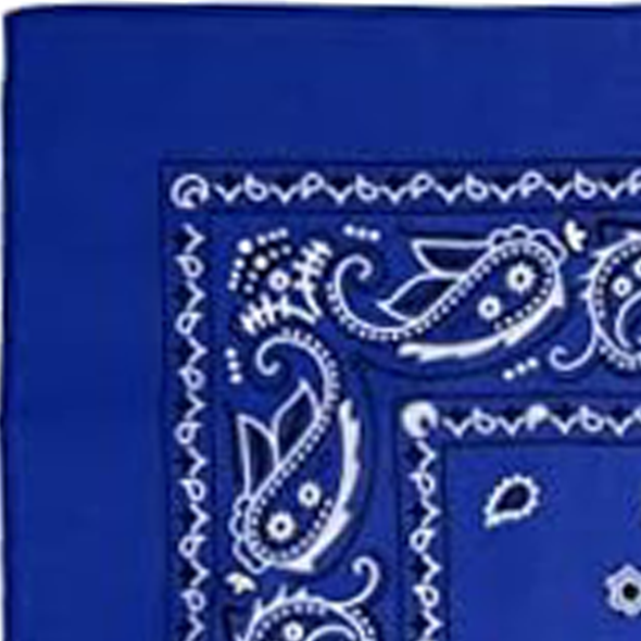 Custom Bandanas — Set of 12