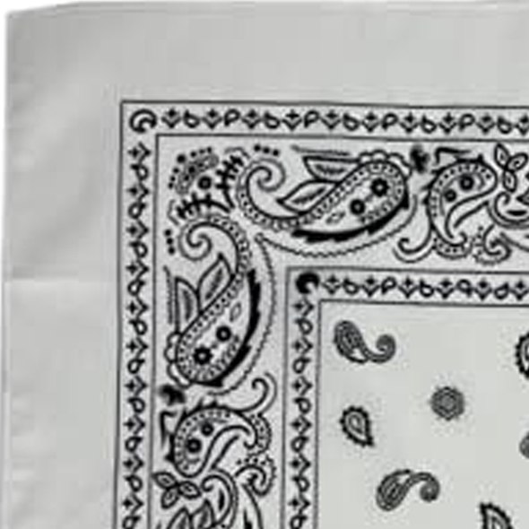 Custom Bandanas — Set of 12