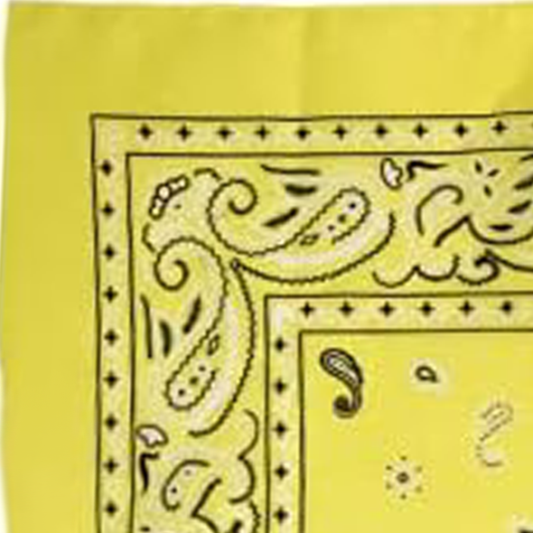 Custom Bandanas — Set of 12